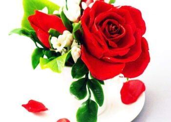 Ƙauna ita ce tushen zamantakewa