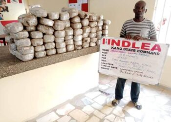 A Mako Ɗaya Kacal: Jami’an NDLEA Sun Yi Wawan Kamun Muggan Ƙwayoyi A Abuja, Lagos Da Sassan Nigeria