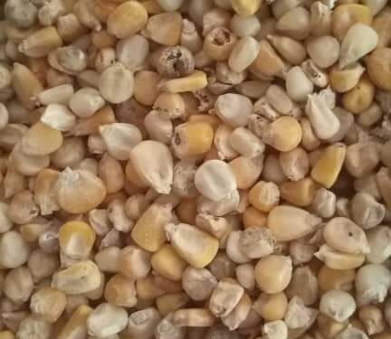 GURƁATACCEN HATSI: An Ja Hankalin Hukumomin Jihar Katsina