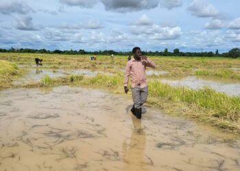 SANA’AR NOMA: Ya Dace Attajirai Su Tallafa Wa Matasan Arewa – Dokta Sharif Almuhajir