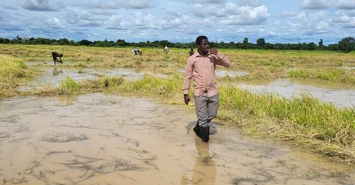 SANA’AR NOMA: Ya Dace Attajirai Su Tallafa Wa Matasan Arewa – Dokta Sharif Almuhajir