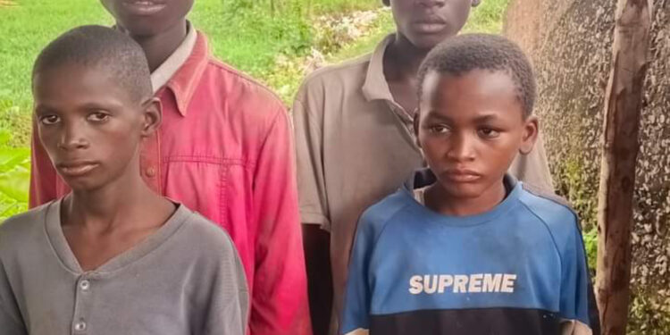 TALAUCI: Yadda Matasan Arewa Ke Gararamba A Legas A Wulaƙance