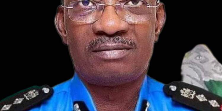 Nigeria Police Commence Recruitment, Opens Application Portal