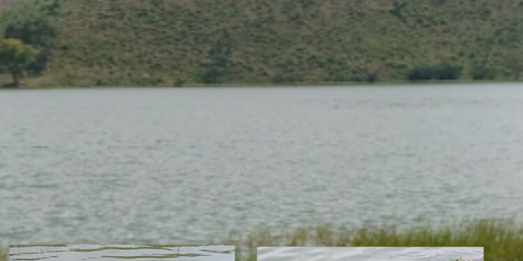 BIU: A Visit to a City on a Plateau (4)