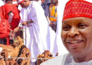 SHIRIN GWAMNA ABBA GIDA-GIDA NA RABA TALLAFIN AWAKAN KIWO YANA KAN DAIDAI