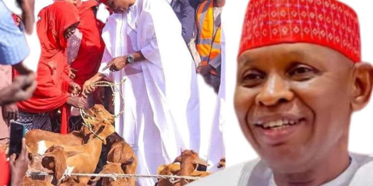 SHIRIN GWAMNA ABBA GIDA-GIDA NA RABA TALLAFIN AWAKAN KIWO YANA KAN DAIDAI