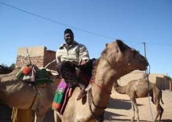 TSOKACINMU NA YAU (11)