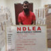Hukumar NDLEA Ta Kama Ɗan Indiya Da Muggan Ƙwayoyi Na Naira Biliyan 3.9