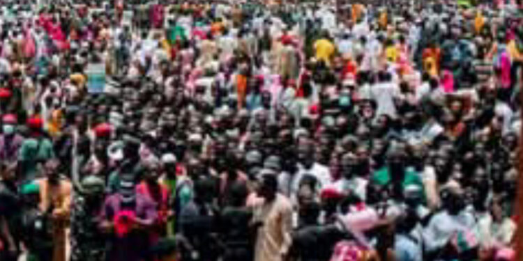 Al’ummar Arewa Mu Farka