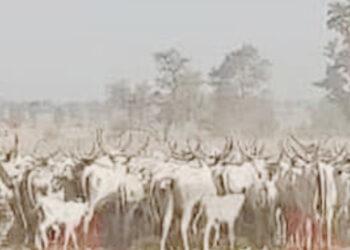 Sojoji Sun Fatattaki ‘Yan Ta’adda A Ƙafur Jihar Katsina