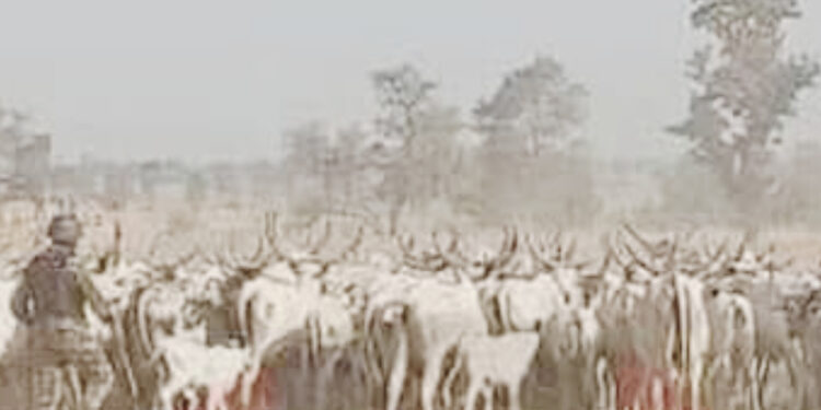 Sojoji Sun Fatattaki ‘Yan Ta’adda A Ƙafur Jihar Katsina