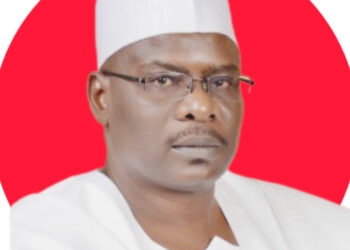 Yadda Za A Magance Matsalolin Tsaro A Najeriya – Sanata Ndume