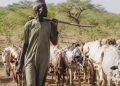 Exposing Plans of Fake Hausa Activists & Ba-Zata Mischief Mongers to Cause Confusion and Discord in Northern Nigeria (13)