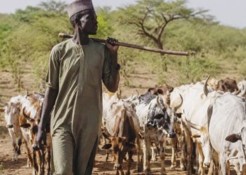 Exposing Plans of Fake Hausa Activists & Ba-Zata Mischief Mongers to Cause Confusion and Discord in Northern Nigeria (13)